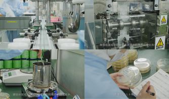 樱花约定，匠心传承 日本娜丽丝卫生用品的前世今生