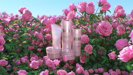 玫瑰之韵 三维场景中的创新化妆品与卫生用品设计
